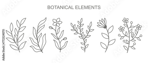 Botanical elements set on white background. Vector outline twigs with leaves and flowers.