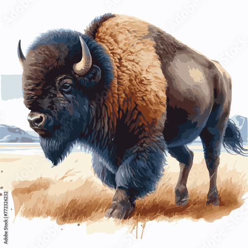 watercolor bison illustration painting on white background