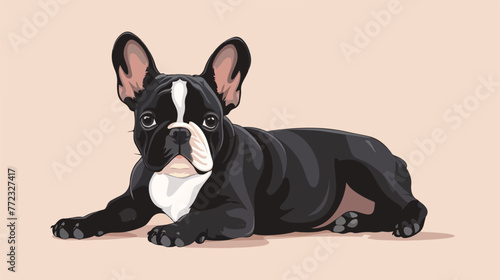 Isolated french bulldog design flat cartoon vactor © Quintessa