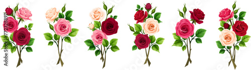 Rose branches. Red  pink  and white rose flower branches isolated on a white background. Set of vector design elements