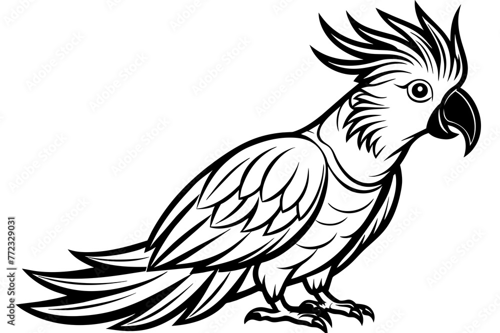 cockatoo-icon-vector-illustration