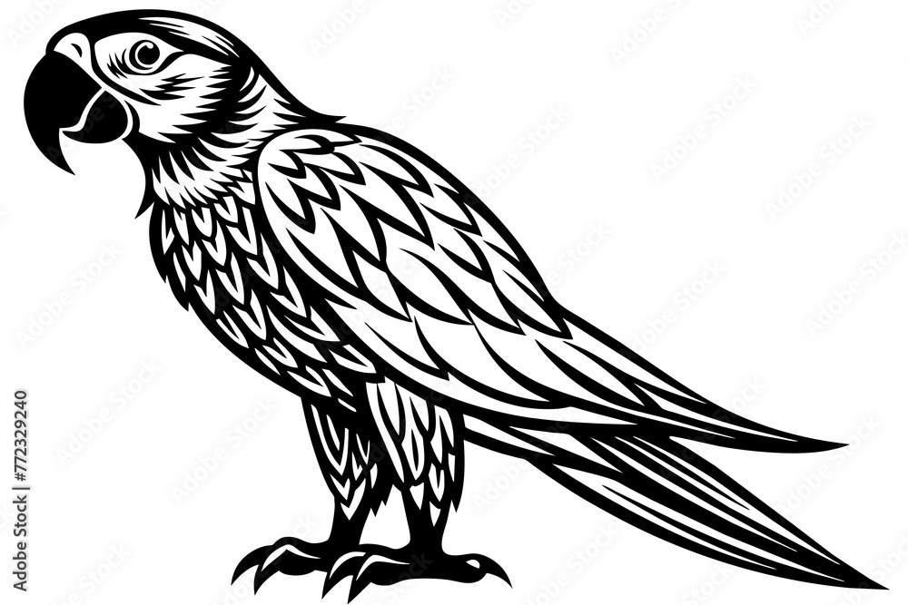 macaw-icon-vector-illustration