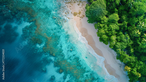 Um plano de fundo perfeito de uma linda praia deserta, vista de cima, com águas azuis claras, areias brancas e uma floresta verde exuberante photo