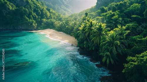 Vista aérea de uma deslumbrante praia deserta, situada no meio de uma vasta floresta tropical exuberante photo