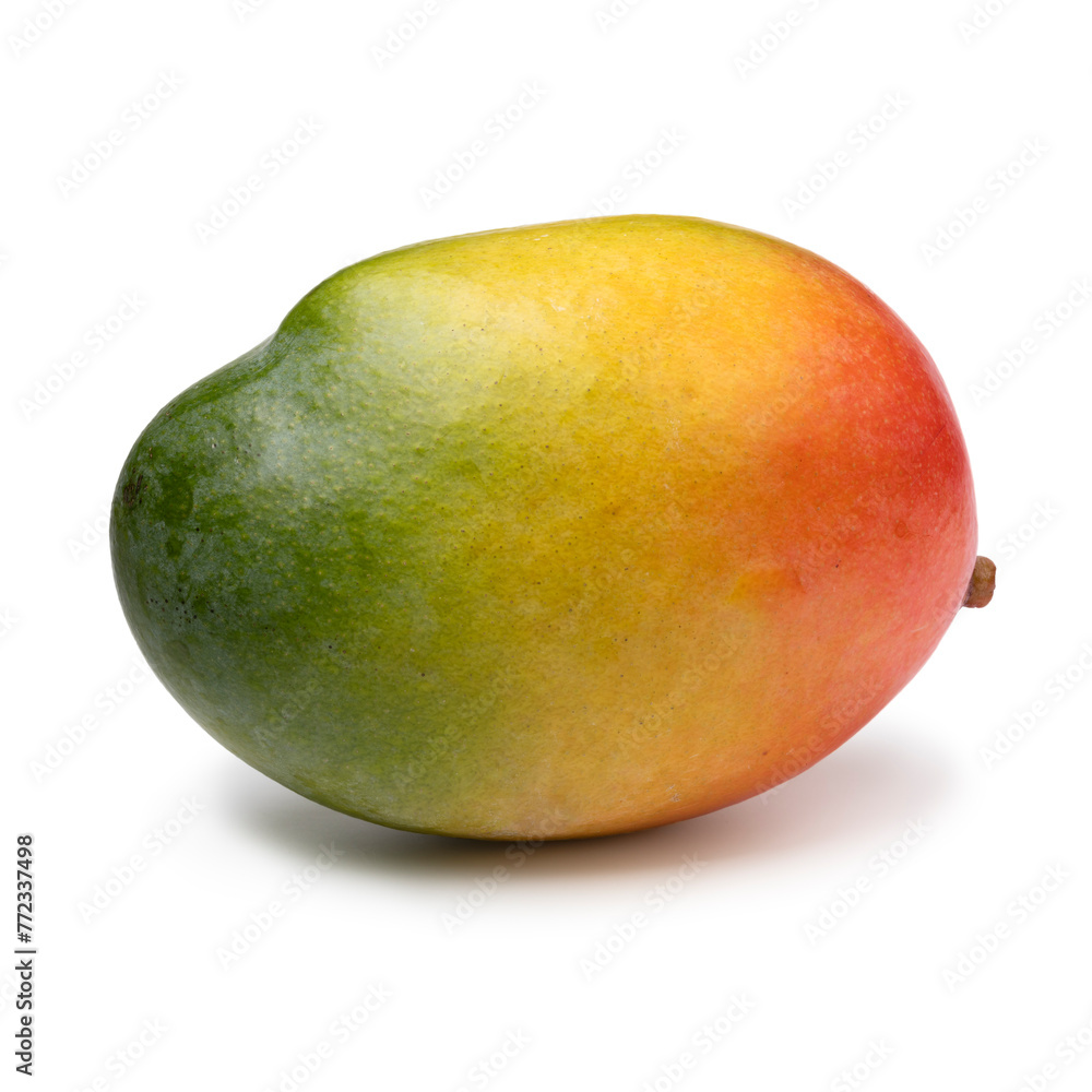 Single colorful mango isolated on white background close up Single colorful mango isolated on white background close up