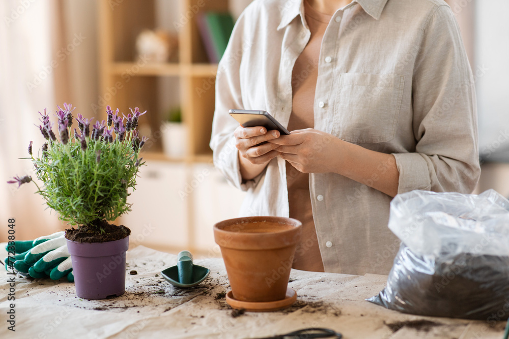 people, gardening and planting concept - close up of woman with smartphone and pot flower at home people, gardening and planting concept - close up of woman with smartphone and pot flower at home