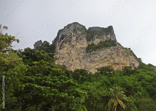 Scenic view of a tropical mountain top with lush greenery and clear blue skies.