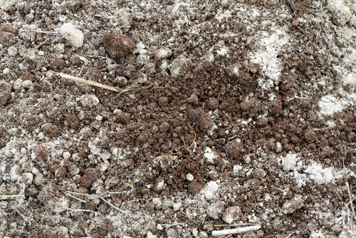 the surface of the soil that was sprinkled with dolomite flour
