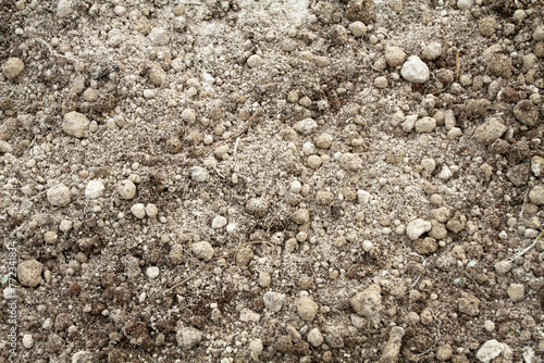 the surface of the soil that was sprinkled with dolomite fertilizer