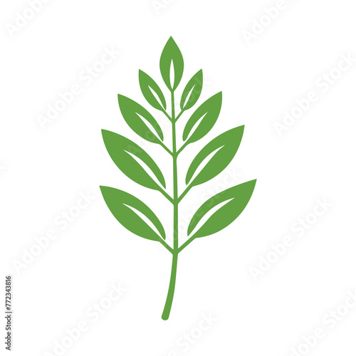 Green Leaf icon shape fresh flat vector design.