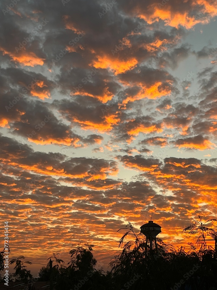 Fototapeta premium Cloud