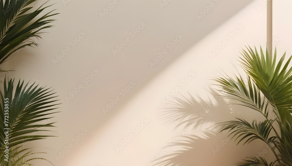 Background shadow from palm leaves wall summer spring 8