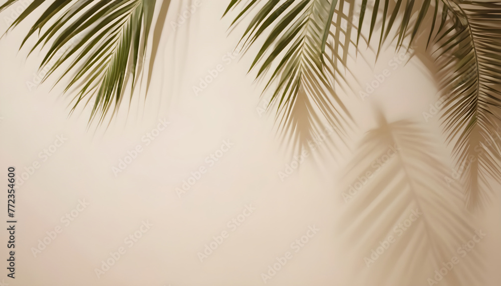 Background shadow from palm leaves wall summer spring Background shadow from palm leaves wall summer spring