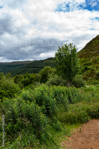 Views around Lochcarron photo