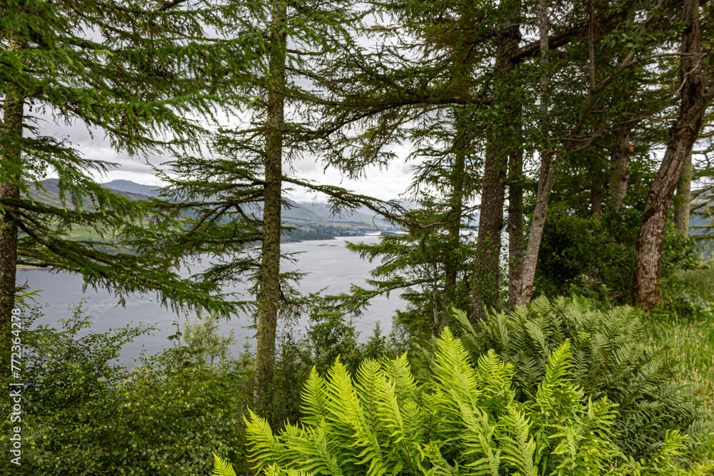 Fototapeta premium Views around Lochcarron