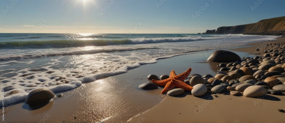 the beach, on the background of the ocean, in the foreground lies a shell and large pebbles, the bright sun is shining