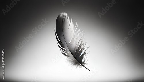 Artistic photograph of a feather caught in a breeze, suspended against a clear sky, with a narrow depth of field