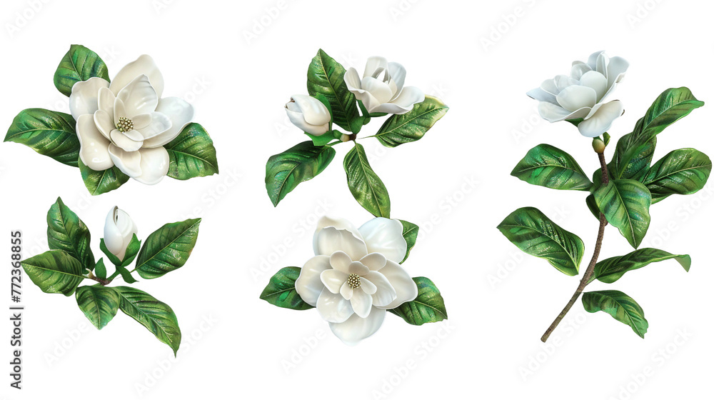 Watercolor Gardenia Illustration on Transparent Background: A Detailed and Delicate White Floral Art Ideal for Botanical Designs and Decorations - obrazy, fototapety, plakaty 