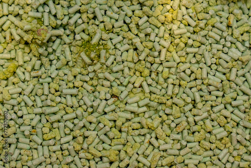 Used green tofu cat litter