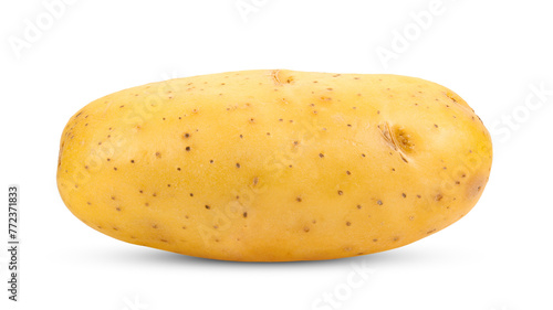 potato isolated on transparent png © sommai