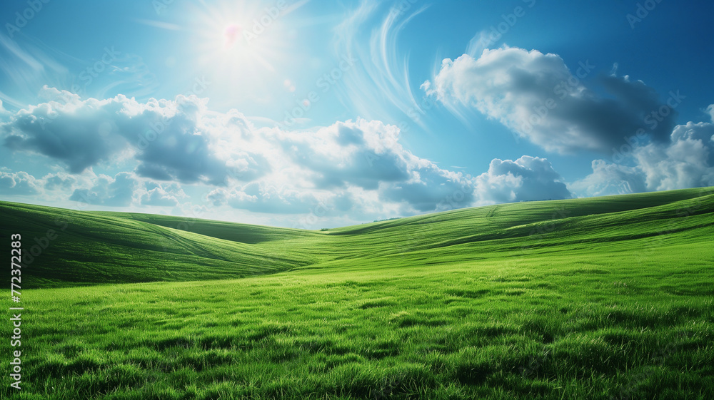 A vast green meadow stretches under a clear blue summer sky A vast green meadow stretches under a clear blue summer sky