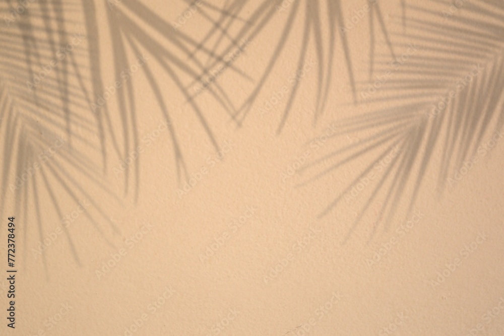 Obraz premium Realistic palm leaf shadow on beige wall background. mockup of tropical palm tree for cosmetic concept 