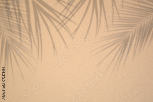 Realistic palm leaf shadow on beige wall background. mockup of tropical palm tree for cosmetic concept 