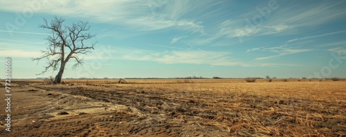 Abandoned farmland, droughts consequence, hungers silent creep