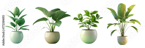 Set of 3D green plant flowerpot on a transparent background