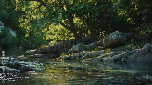 A rocky spot in the river surrounded by green tree