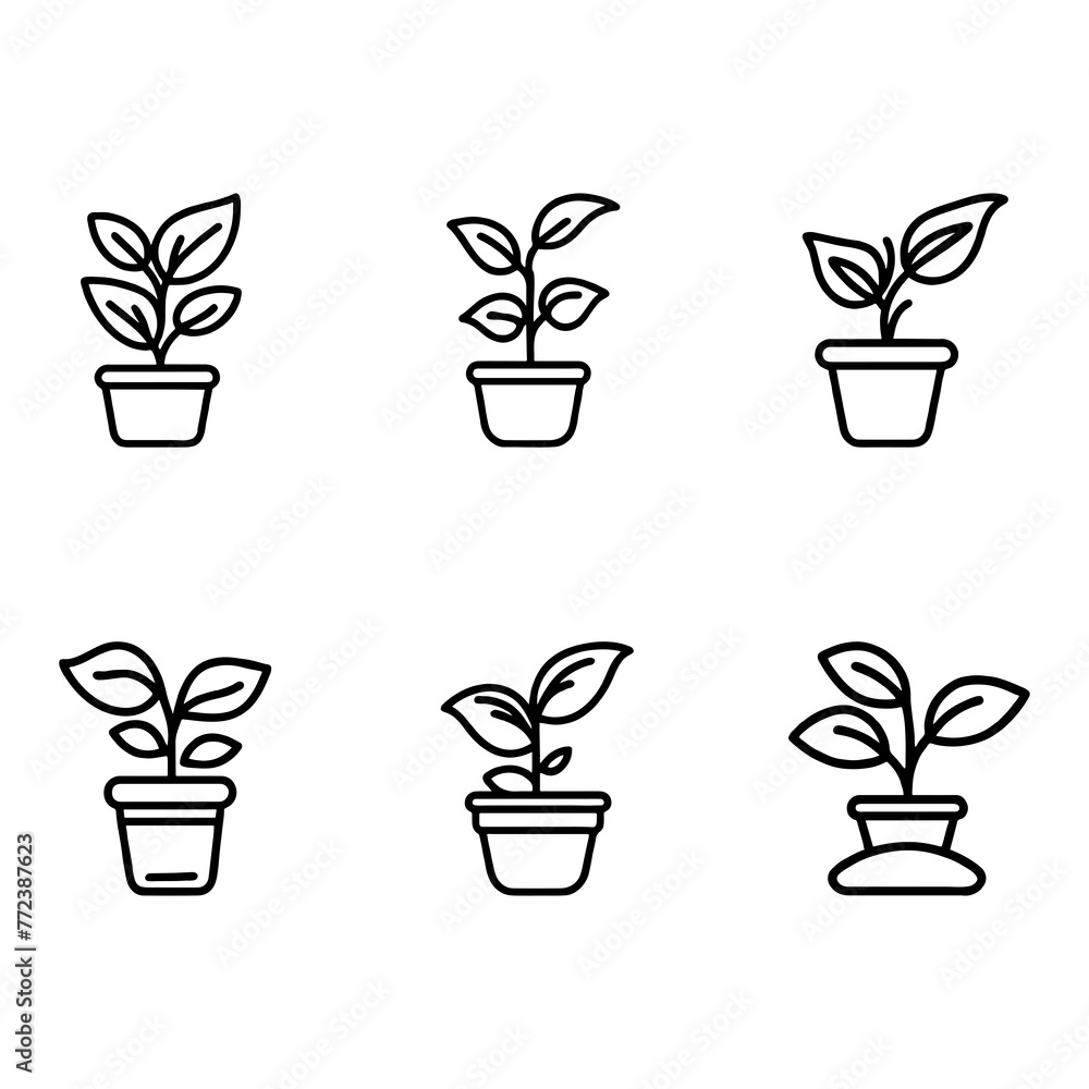 SIX POTTED PLANTS, UNCOLORED OUTLINED DRAWING SIX POTTED PLANTS, UNCOLORED OUTLINED DRAWING