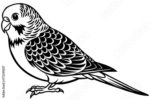 budgerigar-icon-vector-illustration