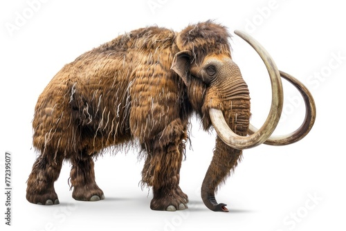 Mammoth isolated on a white background photo