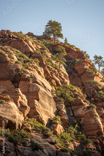 Trees Dot Rocky Cliff Catching Morning Light