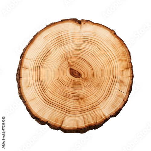 slice tree trunk isolated on transparent background, PNG available