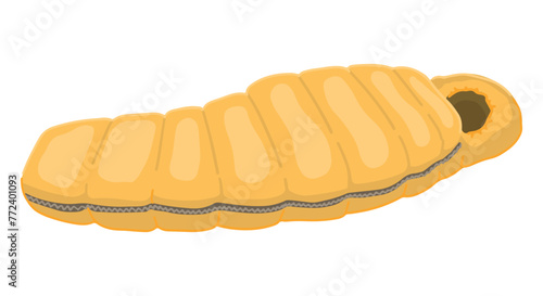 Camping sleeping bag doodle. Clipart of hiking equipment, travel attribute. Cartoon vector illustration isolated on white.