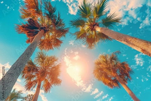 low angle view of exotic palm tree against blue sky, spring, summer background © JK2507