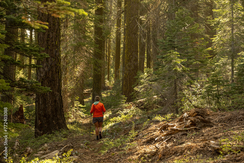 Woman Treks Through Hazy Forest in Yosemite Mountains
