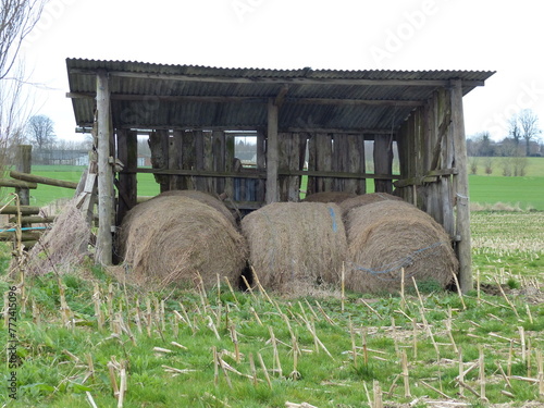 Fototapeta Ferme meules de foin campagne