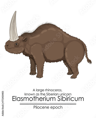 A large rhinoceros, known as the Siberian unicorn Elasmotherium Sibiricum