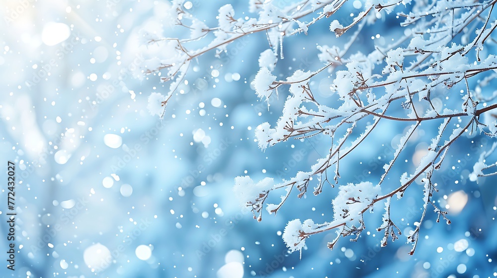 Winter background with snow covered branch Winter background with snow covered branch