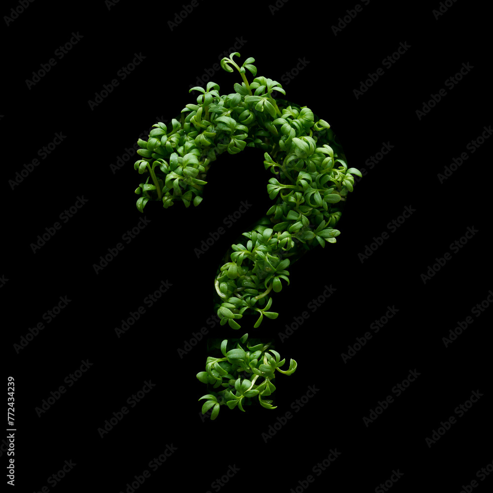 Question mark is created from young green arugula sprouts on a black background.