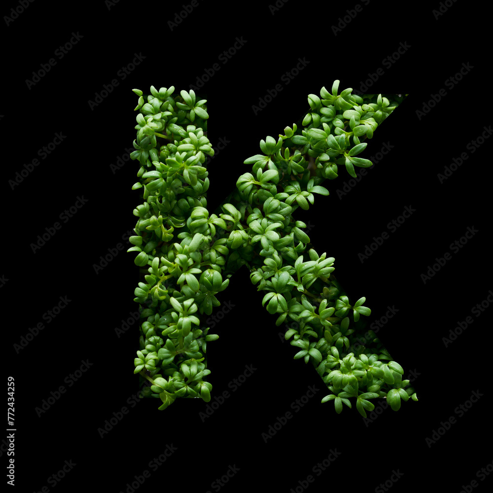 Capital letter K is created from young green arugula sprouts on a black background. Capital letter K is created from young green arugula sprouts on a black background.