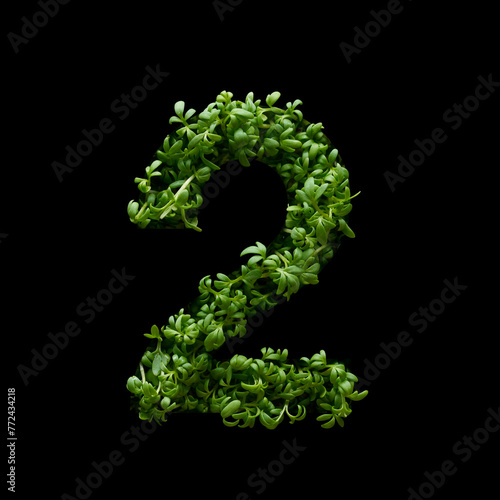 Number two is created from young green arugula sprouts on a black background.