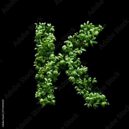 Capital letter K is created from young green arugula sprouts on a black background.