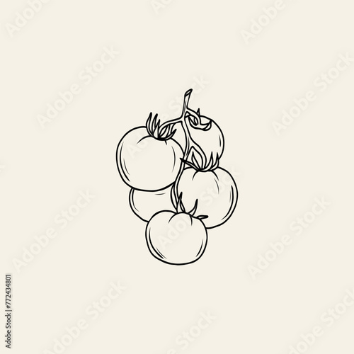 Line art tomato branch illustration