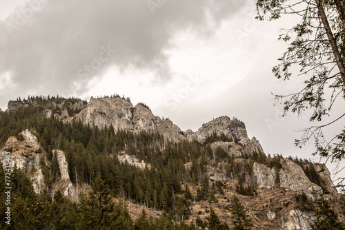Fototapeta Naklejka Na Ścianę i Meble -  Górskie szczyty na tle pochmurnego nieba