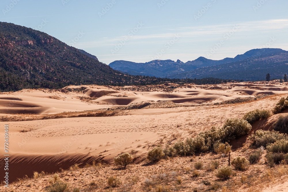 Coral Pink Sand Dunes State Park in Utah Coral Pink Sand Dunes State Park in Utah