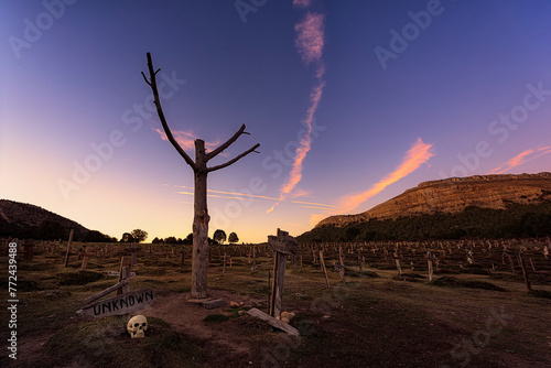 Sunset in the mythical Sad Hill cinematographic cemetery with a dry tree and a skull among the graves photo
