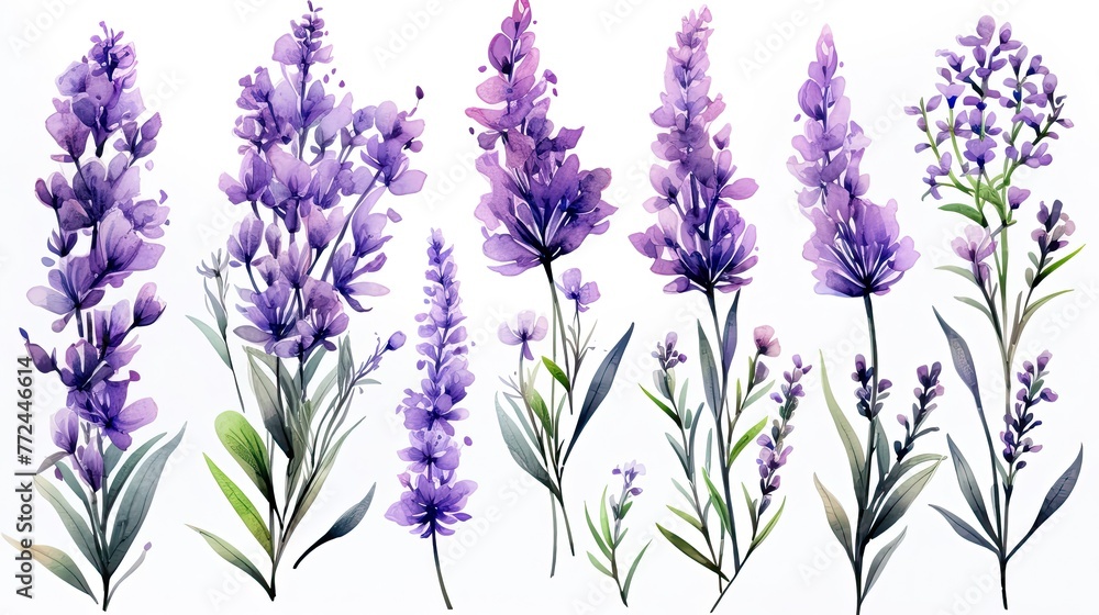 Beautiful Lavender Floral Arrangement with Purple Blooms and Verdant Stems